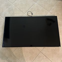 Vizio 55in TV