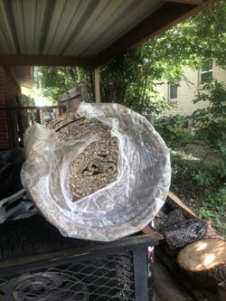 Carpet Sponge In Plastic Wrap