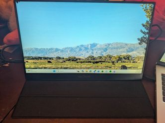 Portable monitor