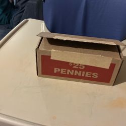 Unsearched Box Of Pennies