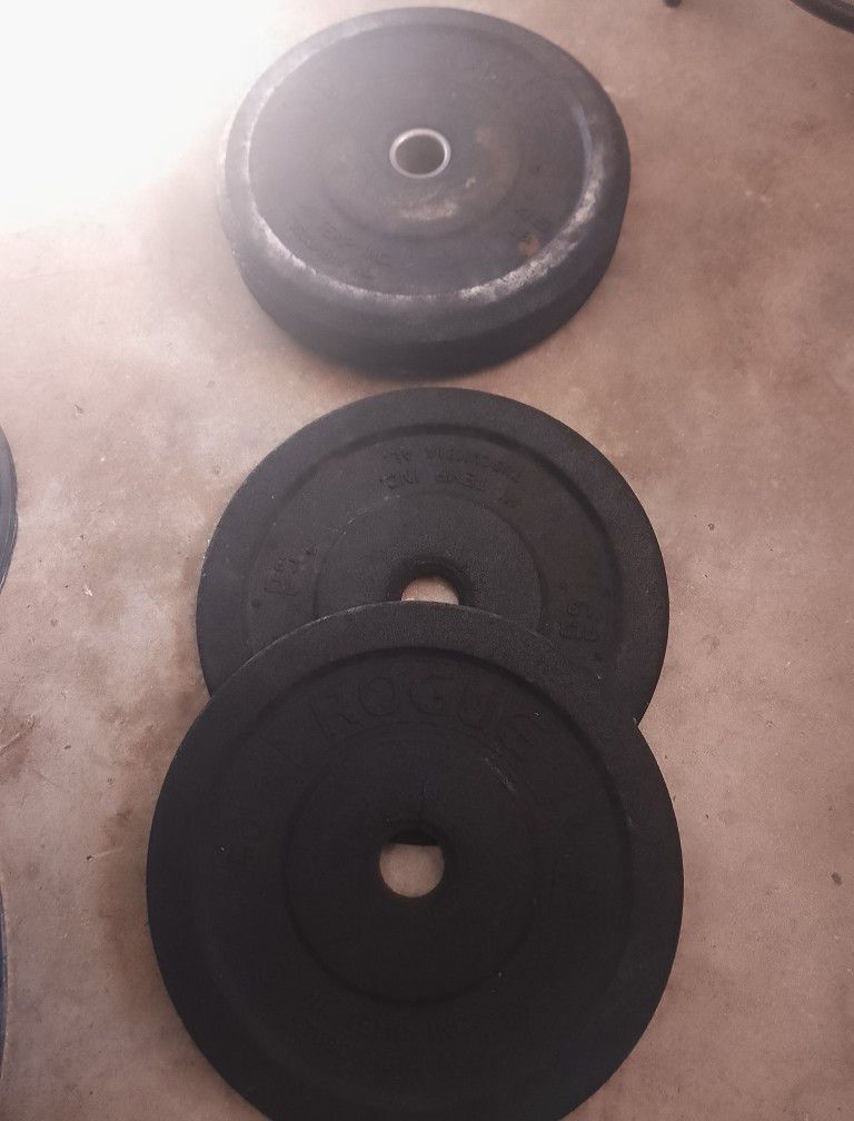 Rogue Bumper Plates, Weights, Weight Stations, Benches, Step Platforms +