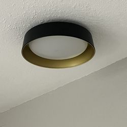 Bargeni Flush Mount Ceiling Light,12.5 inch LED Ceiling Light Fixture,Matte Black with Gold Inside,3000K/Warm White/18W(100w Equiv.),Dimmable Outdoor 