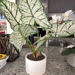 Artificial Plants For Indoor