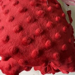 Red Dimple Minky fabric. 2 Yards 
