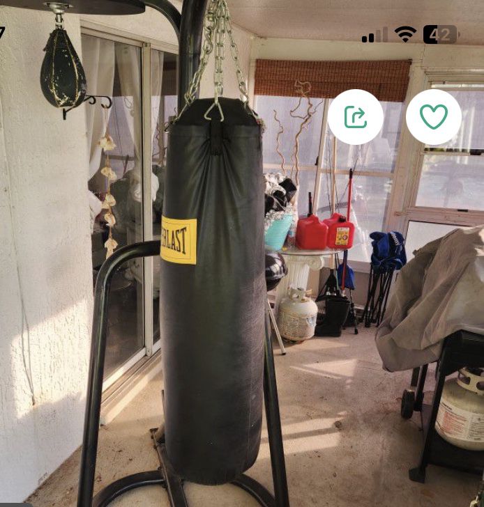 Everest Punching Bag, Stand And Speedbag.