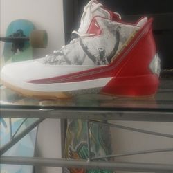 Jordan 22  O.G. Omega