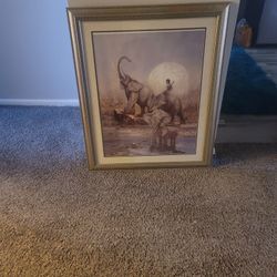 Elephant 🐘 Picture 