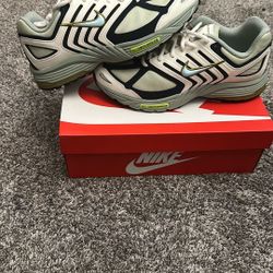 Nike Air Pegasus