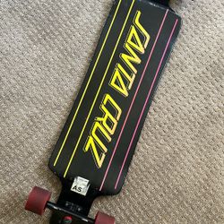 Used Santa Cruz Longboard