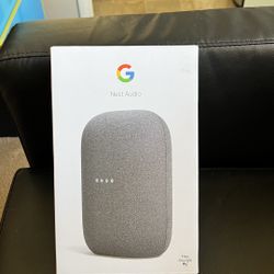 NEST AUDIO