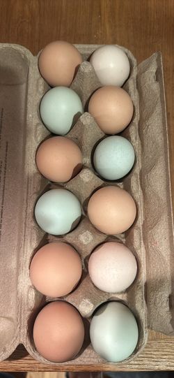 FARM FRESH EGGS