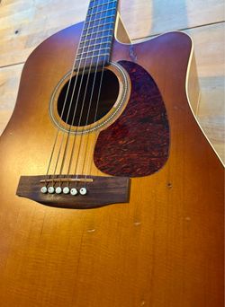 Seagull Entourage Rustic