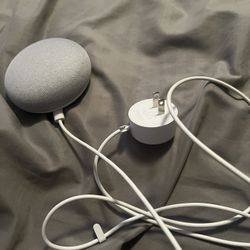 Google Home 