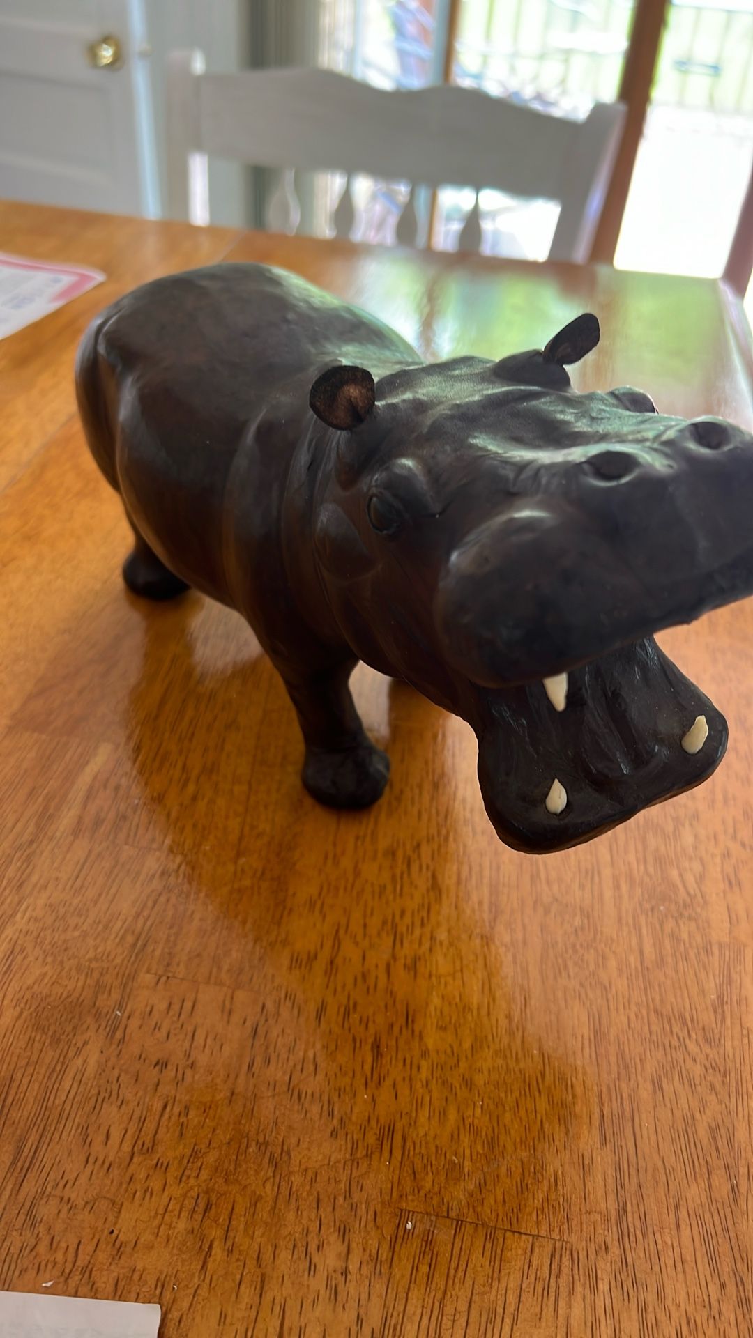 Hippopotamus