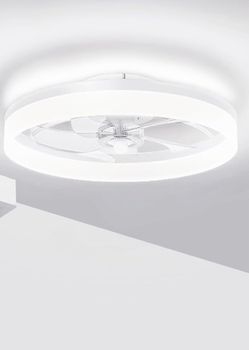 Ceiling fan w light