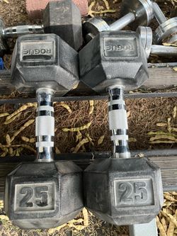 Rogue 25lb hex rubber dumbbell set weights