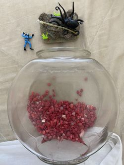 Vintage  Aquarium Items  1960s