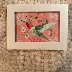 Hummingbird Picture 