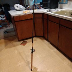 9' Fishing Pole With Abu Garcia Reel