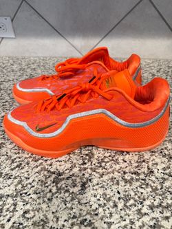 Lebron size 14 men