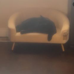 Pet Couch 