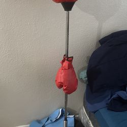 Boxing kit