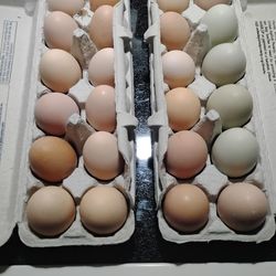 Eggs