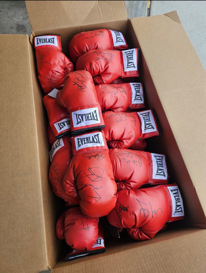 $30 A Pair Everlast Boxing Gloves Sparring Kickboxing Punching 