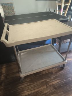 39w x 33h x 27depth cart with plastic shelves on casters