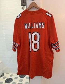 Chicago bears Jersey