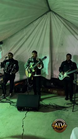 Accordion Quinto Y Bajo