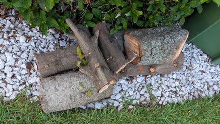 Free wood for fireplace or bbq