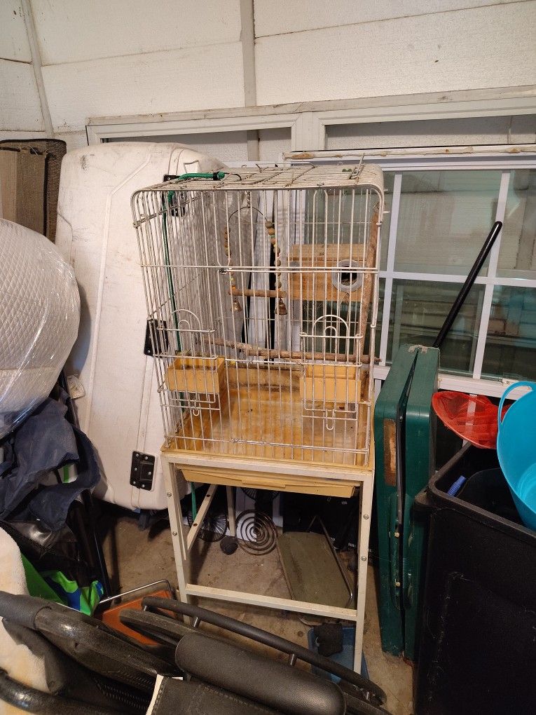 Bird Cage