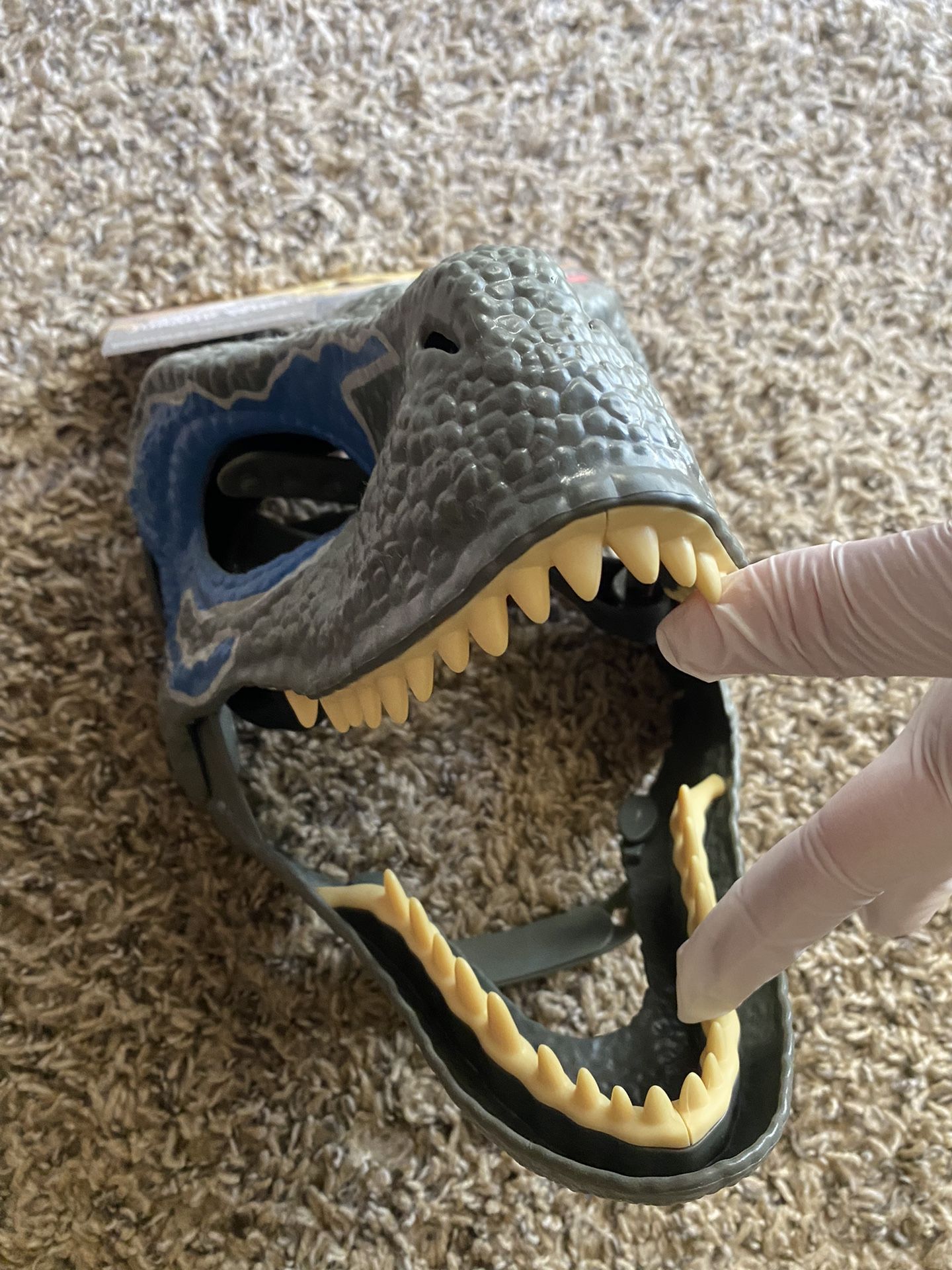 Raptor Mask