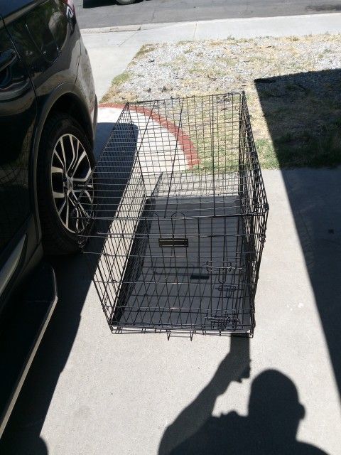 Large Dog 🐕 Crate