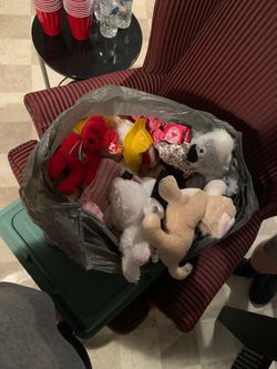 Bag of webkinz