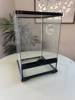 11 gallon terrarium