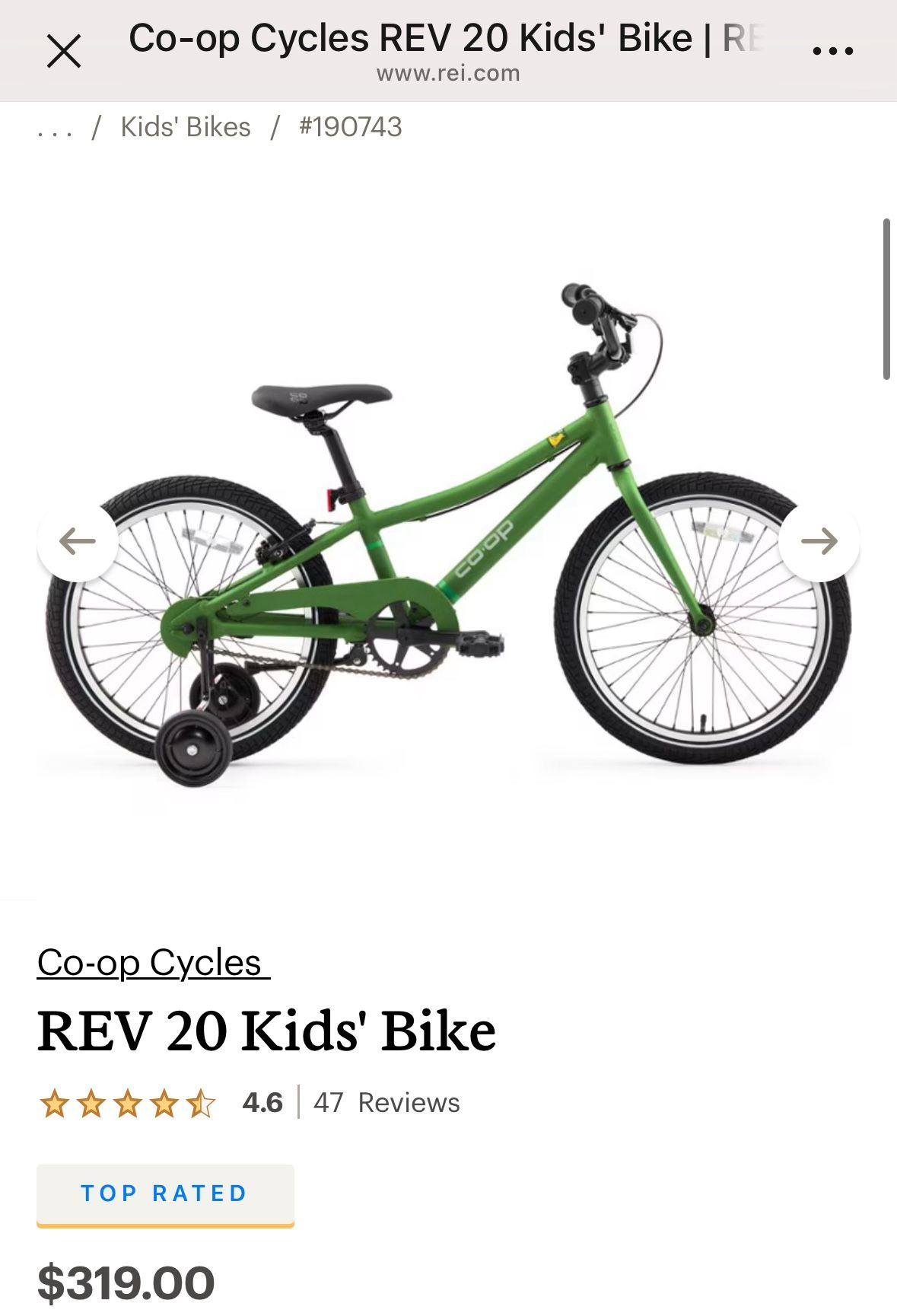 REV Kids 20’ Bike