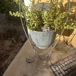 Succulent Pot