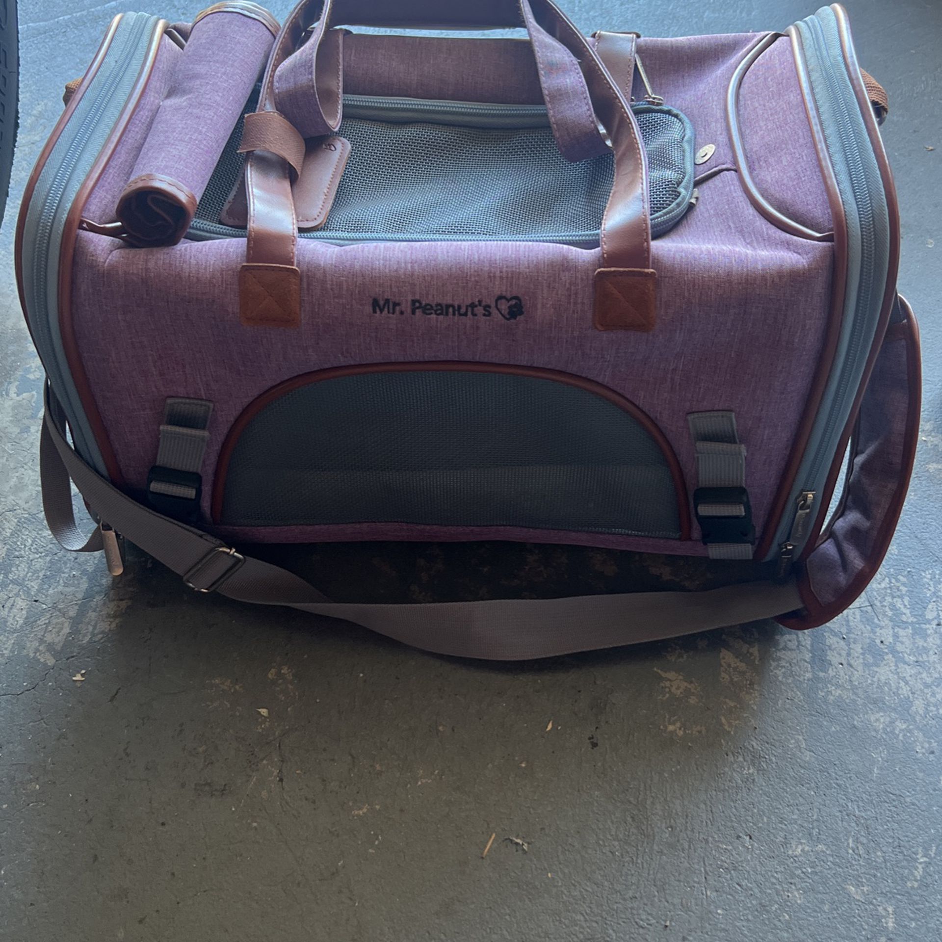 Airline Approved Pet Carrier For Sale 