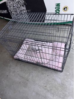 Large kennel