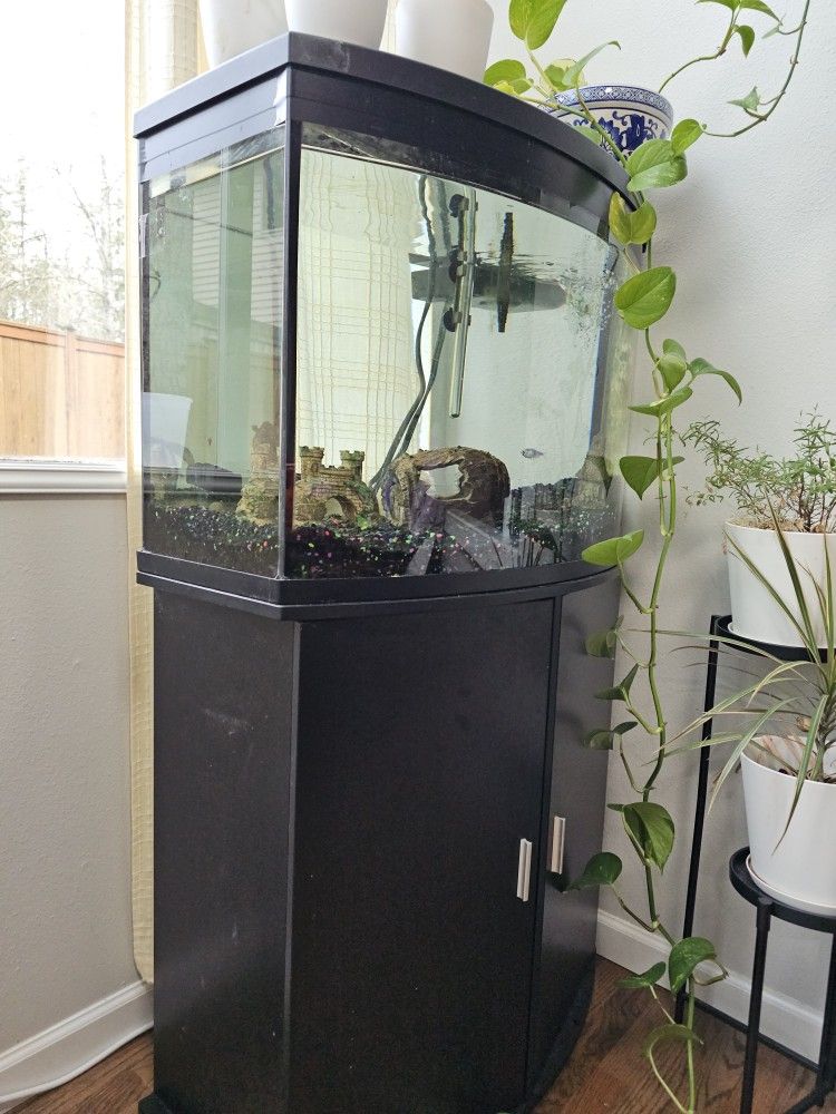 Fish Tank with Accessories, Tools, And Food