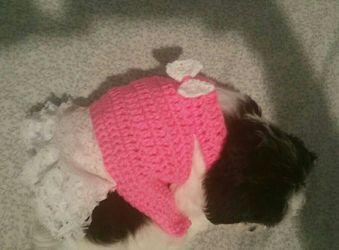 Vestidos para perritos