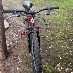 Diamond Back Hook 24 Hardtail Mountain Bike