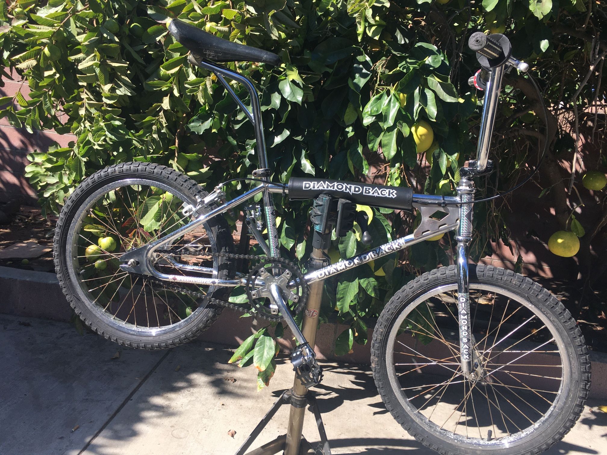 Old School Vintage Bmx 80’s 20” DIAMONDBACK Viper/Silver Streak ? for
