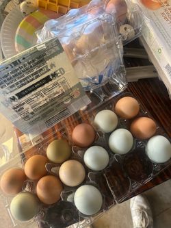Pasture Raised Organic Large Eggs 18-Count
