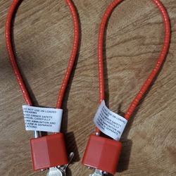 Gun Locks 