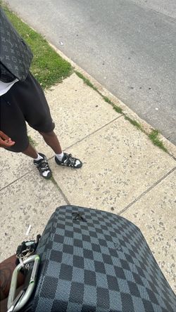 Lv bag