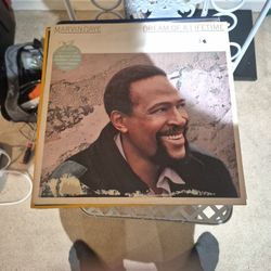 MARVIN GAYE DREAM OF A LIFETIME