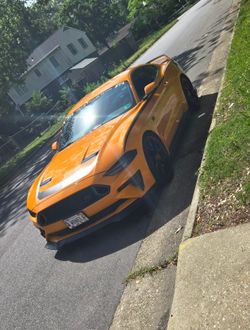 2019 Ford Mustang